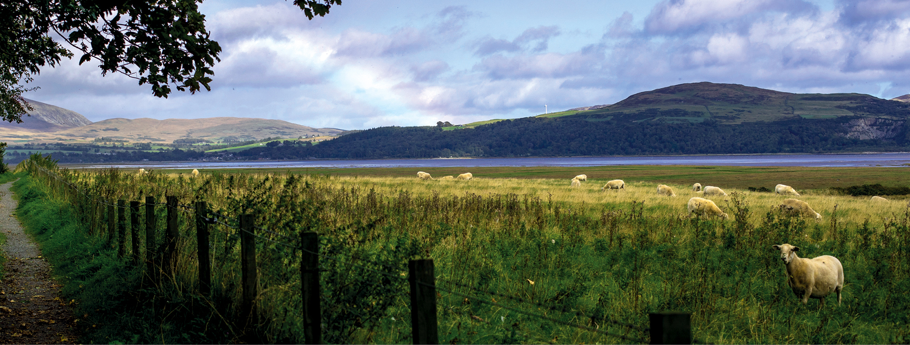 Wigtown Poetry Prize